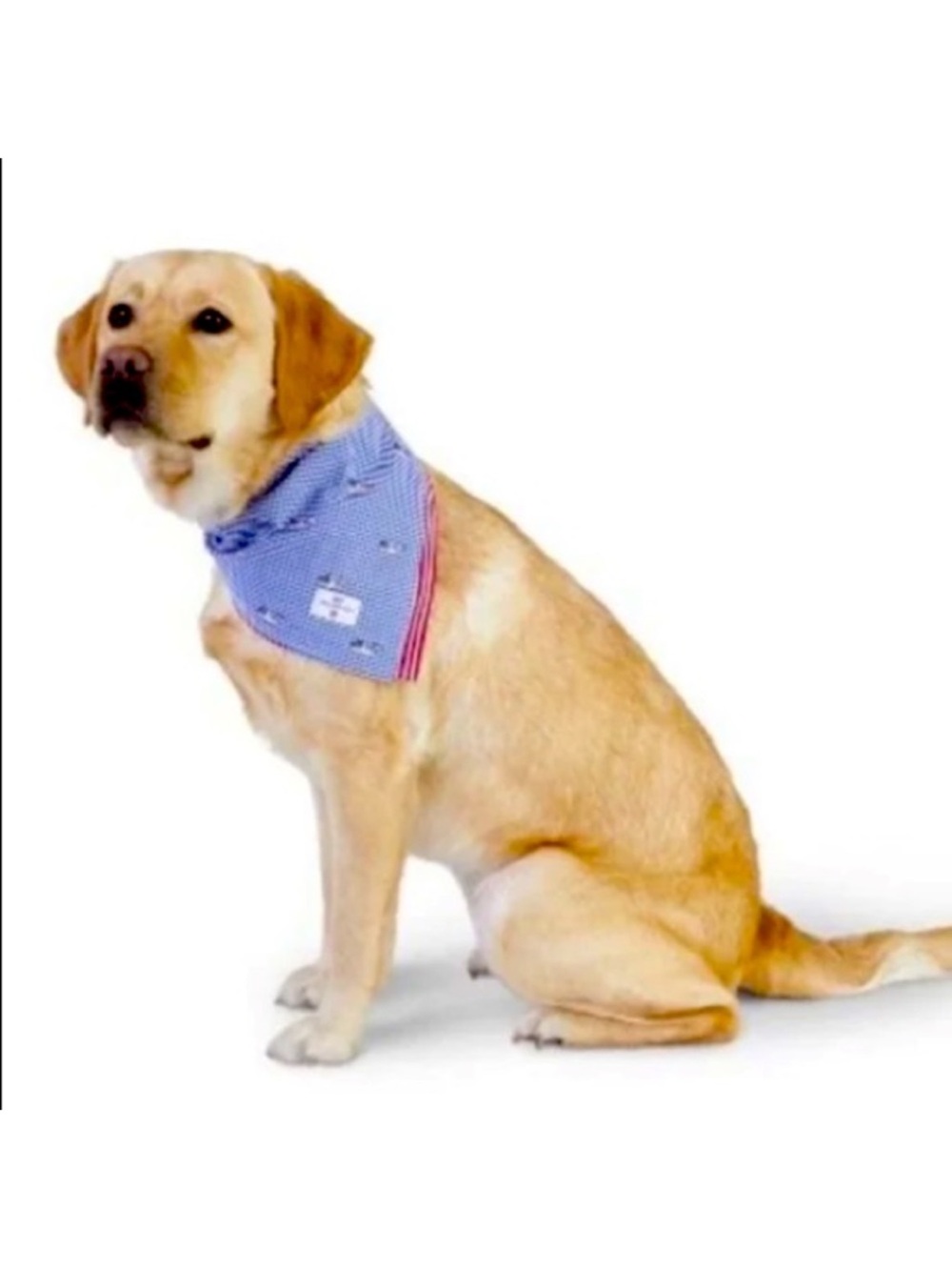 Vineyard Vines for Target Reversible Dog Bandana - L/XL